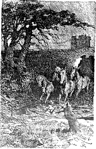 Черный тюльпан (др. изд.) - id73006_i_027.png