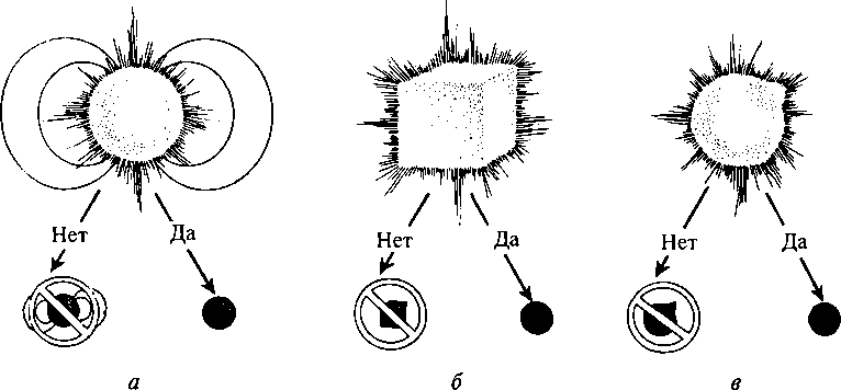 Черные дыры и складки времени. Дерзкое наследие Эйнштейна - i_074.png