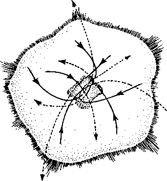 Черные дыры и складки времени. Дерзкое наследие Эйнштейна - i_133.png