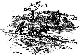 Путешествие в Уссурийском крае - i_016.jpg