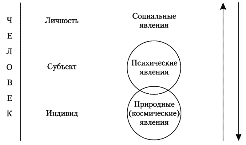 Антропология. Учебное пособие - i_001.png