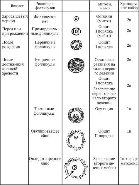 Перинатология и перинатальная психология - i_001.png