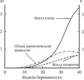 Перинатология и перинатальная психология - i_011.png