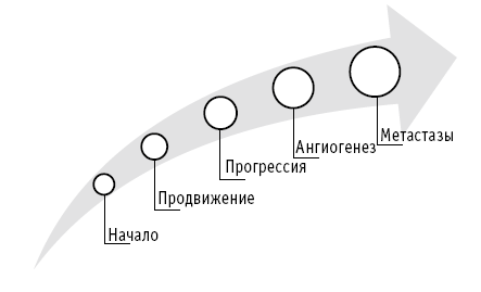 Мои рецепты от рака. Опыт врача, победившего онкологию - i_002.png