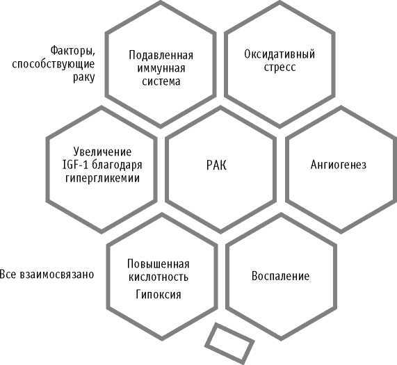 Мои рецепты от рака. Опыт врача, победившего онкологию - i_003.jpg