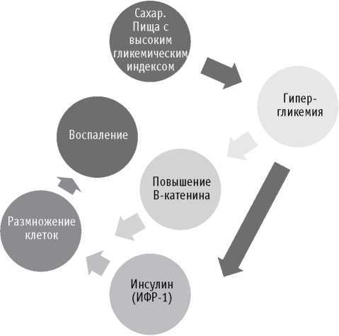 Мои рецепты от рака. Опыт врача, победившего онкологию - i_009.jpg