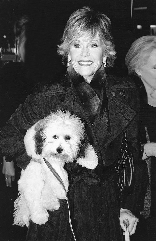 Прайм-тайм. После 50 жизнь только начинается - i_004.jpg