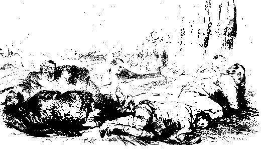 История Фридриха Великого - _159.jpg