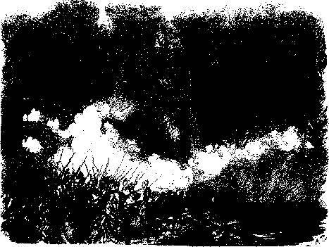 История Фридриха Великого - _110.jpg