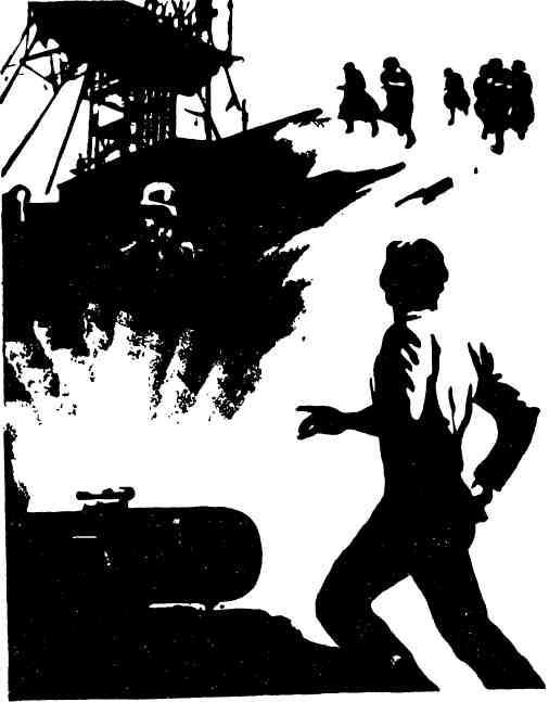 Агент № 1 - img_11.jpeg