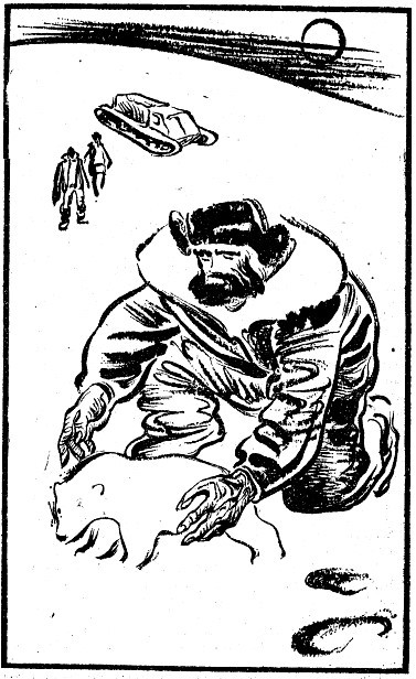 Совершенно секретное дело о ките (Повести и рассказы) - _5.jpg