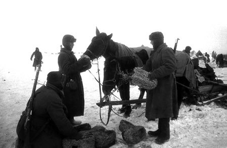 Ржевско-Вяземские бои (08.01-28.02.1942 г.). Часть 1 - _366.jpg