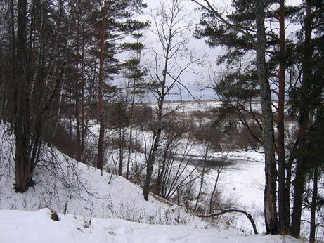 Ржевско-Вяземские бои (08.01-28.02.1942 г.). Часть 1 - _370.jpg