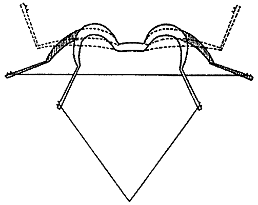 Всадники в сверкающей броне. Военное дело сасанидского Ирана и история римско-персидских войн - i_010.png