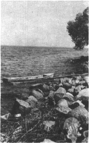 Глобус 1976 - _77.jpg