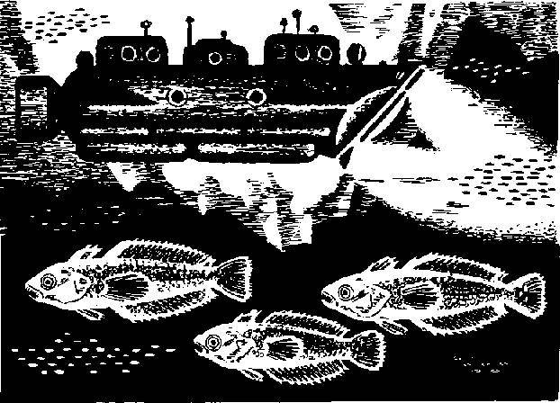 Глобус 1976 - _165.jpg