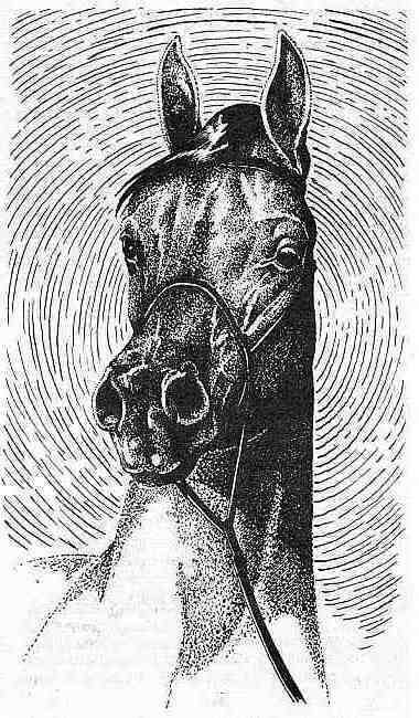 Полосатый Эргени (сборник) - _10.jpg