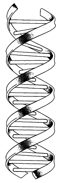 Лестница жизни. Десять величайших изобретений эволюции - i_005.png