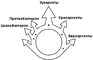 Лестница жизни. Десять величайших изобретений эволюции - i_014.png