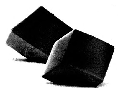 Лестница жизни. Десять величайших изобретений эволюции - i_026.jpg