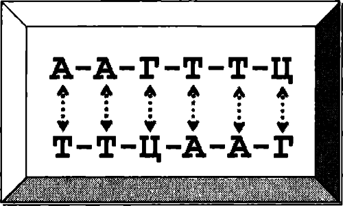 Секс и эволюция человеческой природы - i_001.png