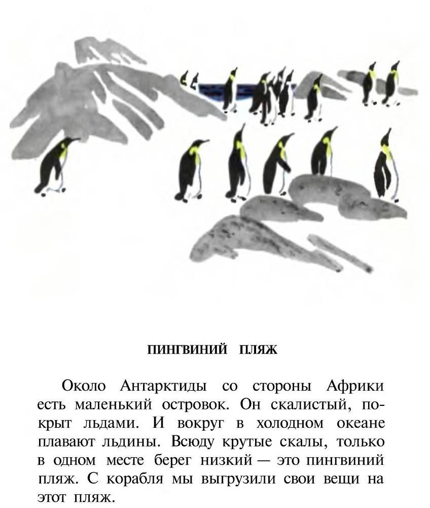 Про пингвинов - _3.jpg