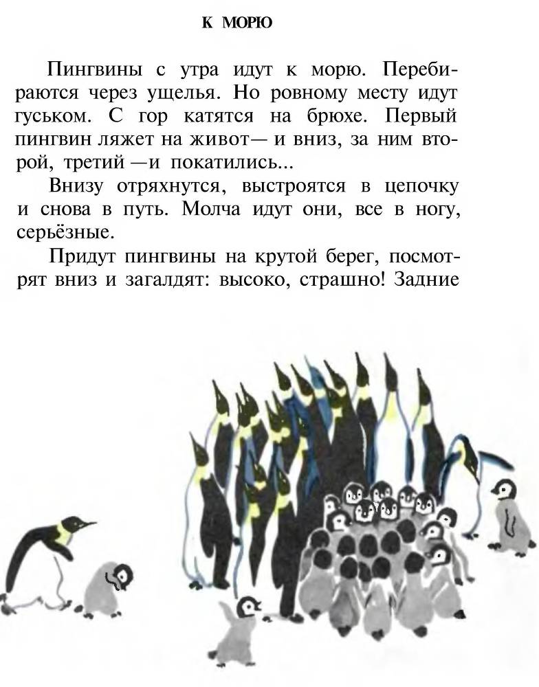 Про пингвинов - _9.jpg
