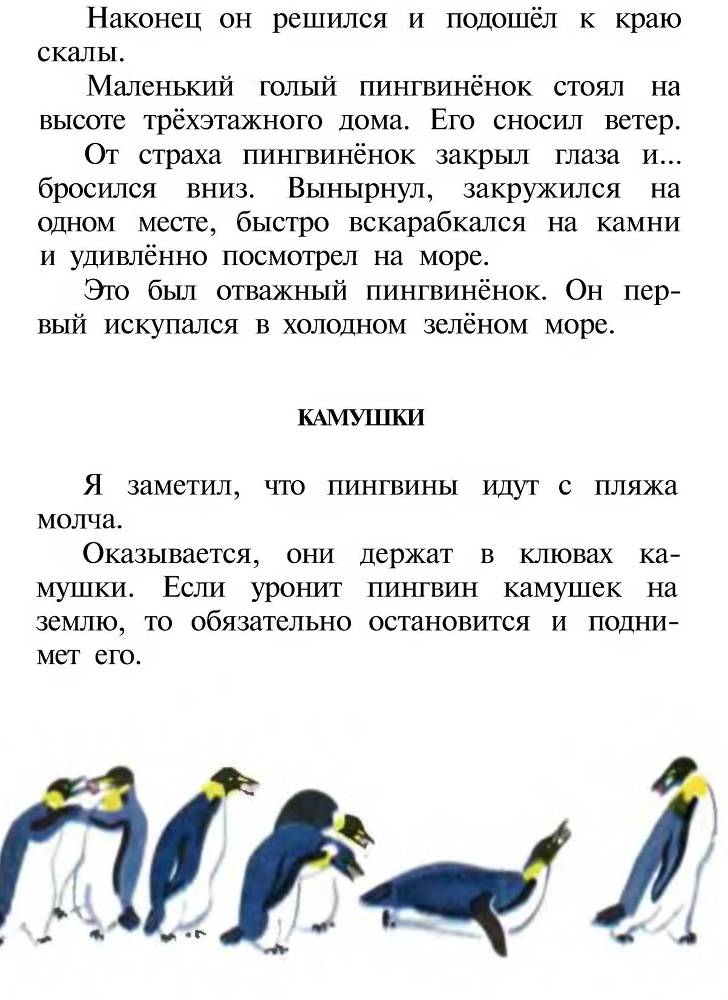 Про пингвинов - _14.jpg