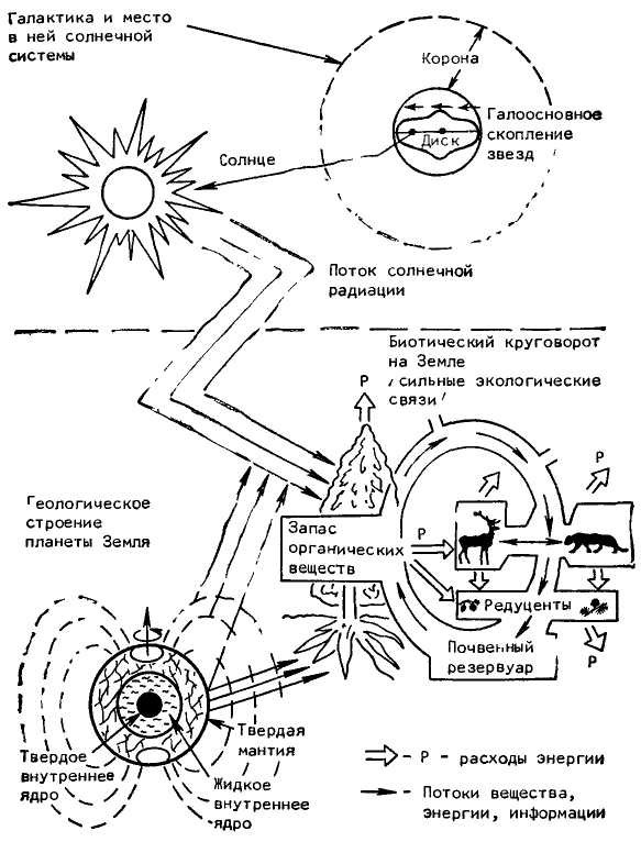 Феномен человека - _2.jpg