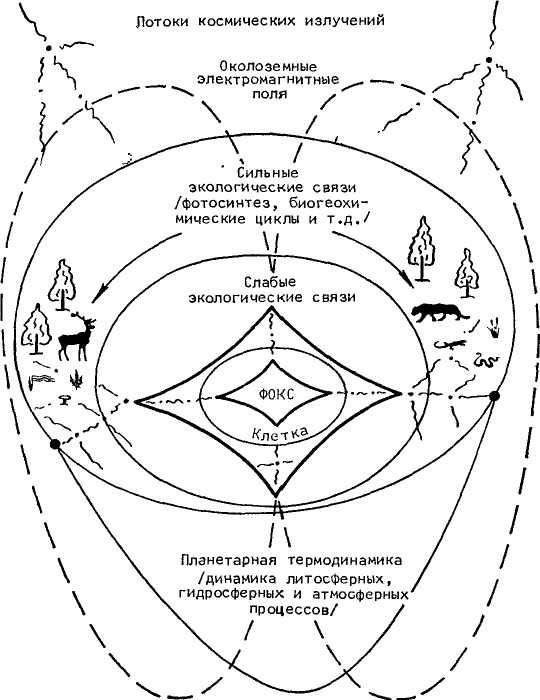 Феномен человека - _3.jpg