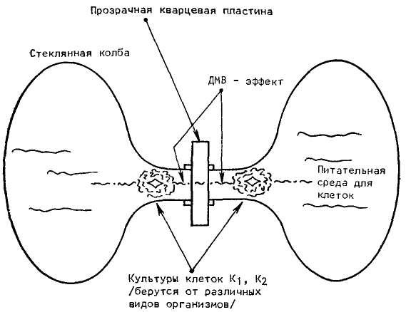 Феномен человека - _4.jpg