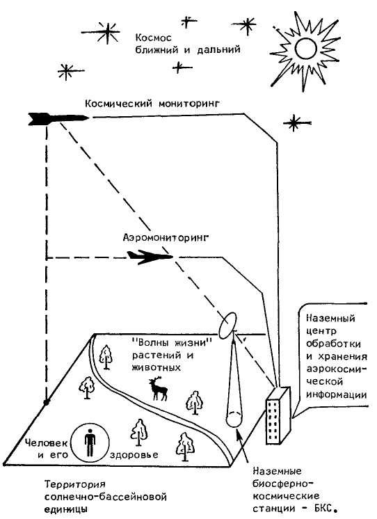 Феномен человека - _7.jpg