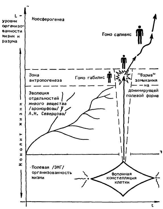 Феномен человека - _8.jpg