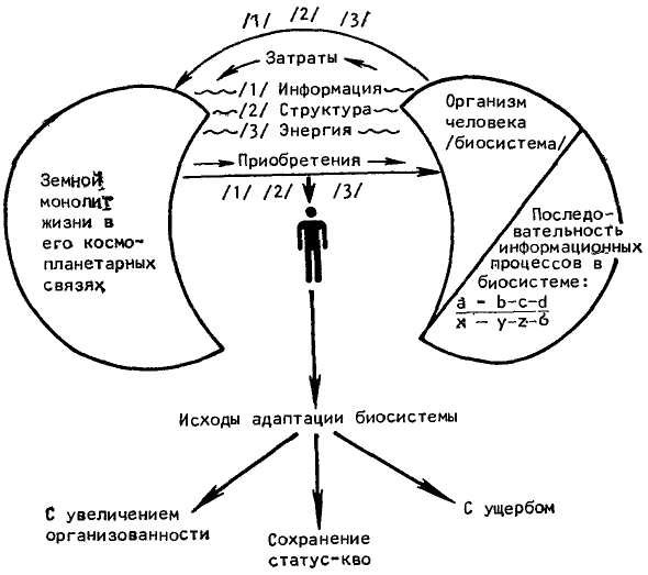 Феномен человека - _9.jpg