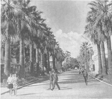 Одесса-Батуми - _34.jpg