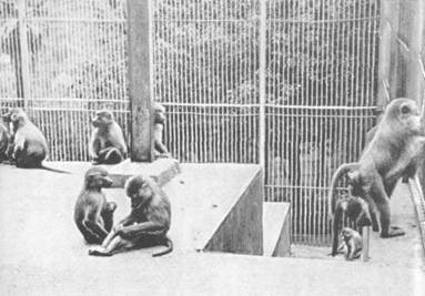 Одесса-Батуми - _37.jpg