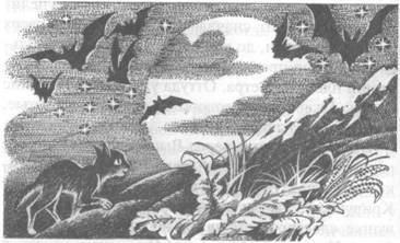 Западня - pic_16.jpg