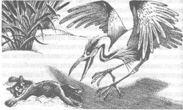 Западня - pic_24.jpg