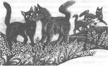 Западня - pic_36.jpg