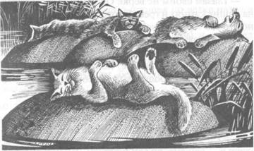 Западня - pic_8.jpg