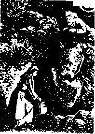 Южный берег Крыма - _32.jpg