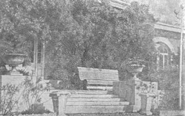 Южный берег Крыма - _45.jpg