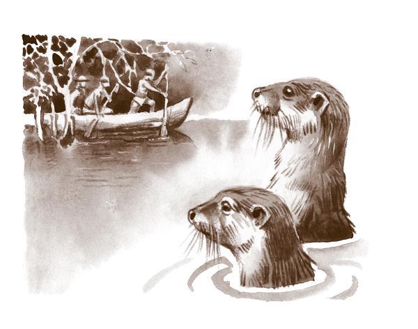 Томек у истоков Амазонки - i_021.jpg