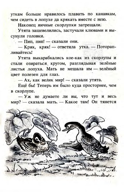 Подарки феи (сборник) - _31.jpg