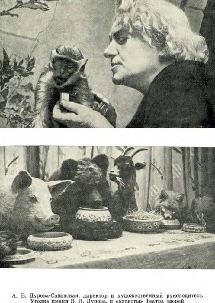 Братья Дуровы - _104.jpg