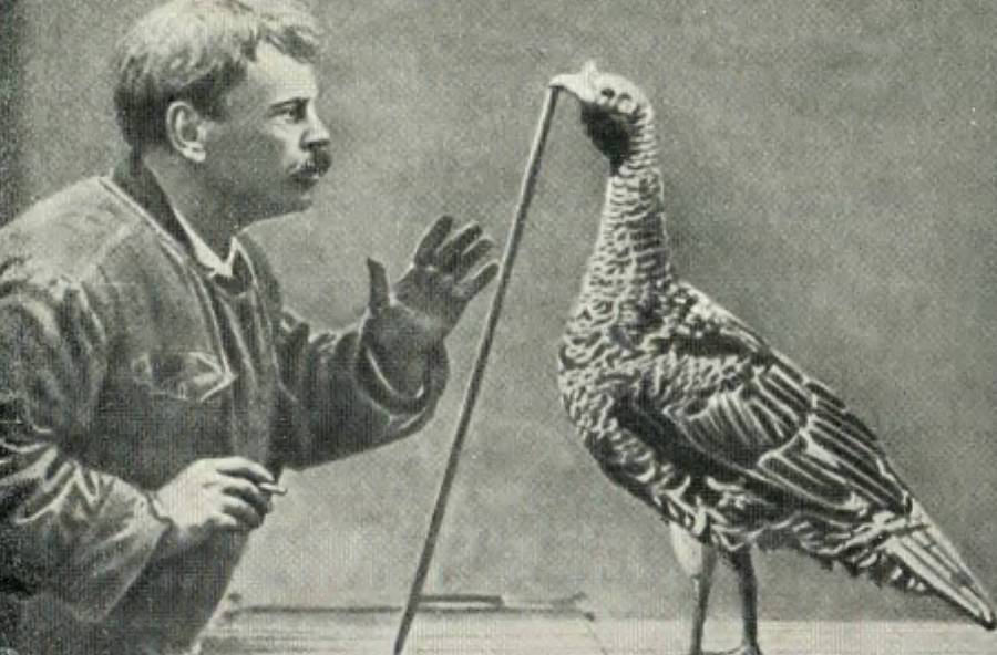 Братья Дуровы - _94.jpg