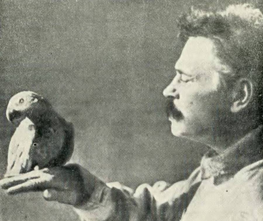 Братья Дуровы - _92.jpg