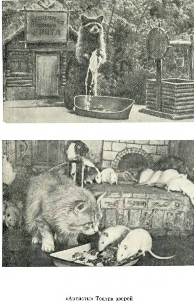 Братья Дуровы - _105.jpg