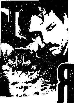 Импортный свидетель (сборник) - _19.jpg