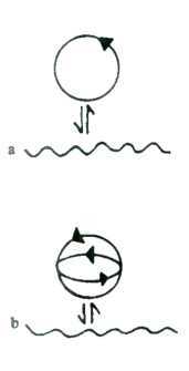 Древо познания - image74.jpg